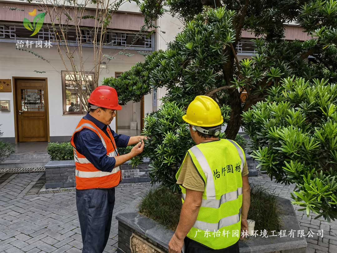 九游會J9園林綠化公司廠區(qū)綠化養(yǎng)護(hù)指導(dǎo)工作